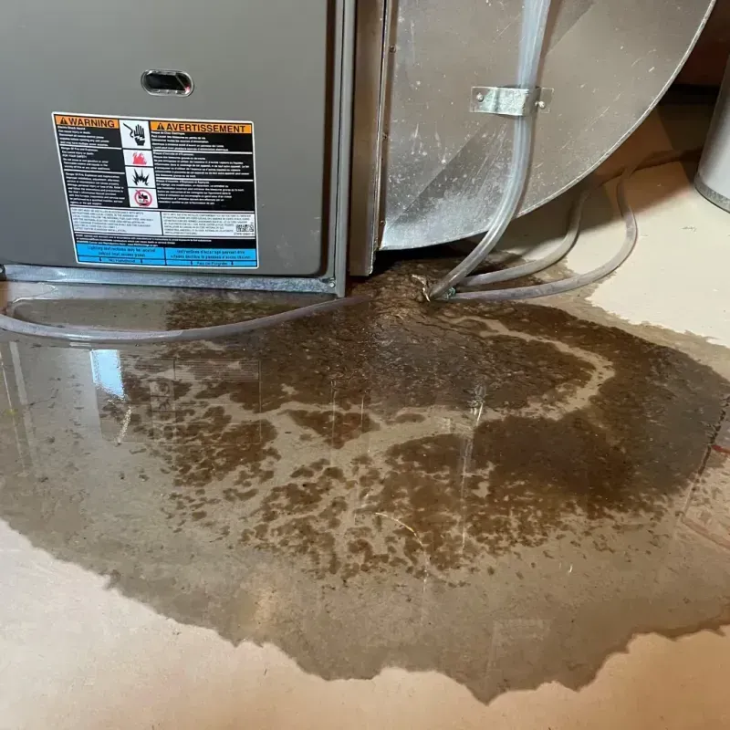 Appliance Leak Cleanup in Laingsburg, MI